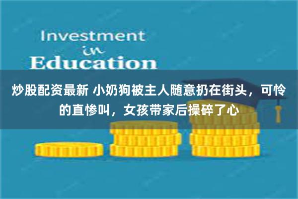 炒股配资最新 小奶狗被主人随意扔在街头，可怜的直惨叫，女孩带家后操碎了心