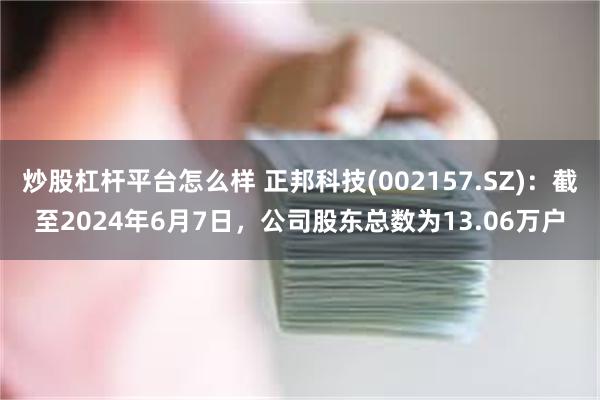 炒股杠杆平台怎么样 正邦科技(002157.SZ)：截至2024年6月7日，公司股东总数为13.06万户