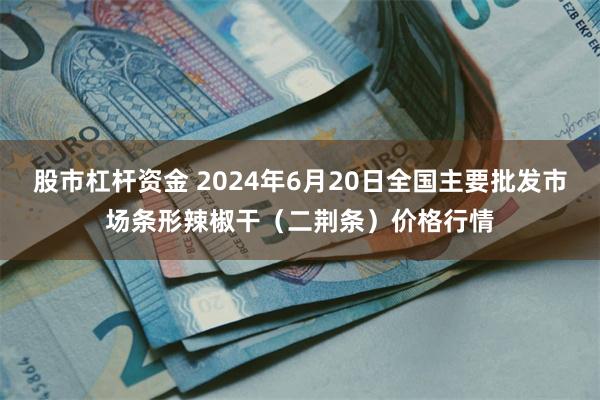 股市杠杆资金 2024年6月20日全国主要批发市场条形辣椒干（二荆条）价格行情