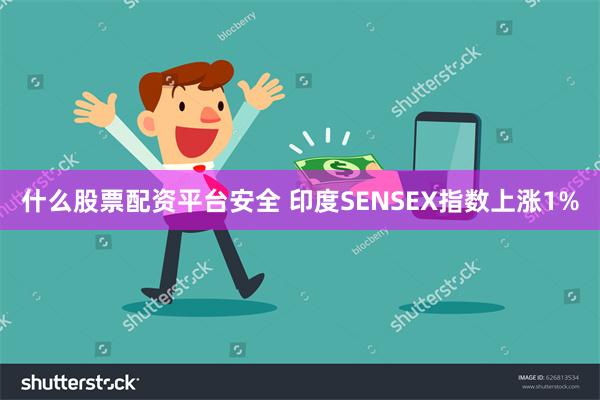 什么股票配资平台安全 印度SENSEX指数上涨1%