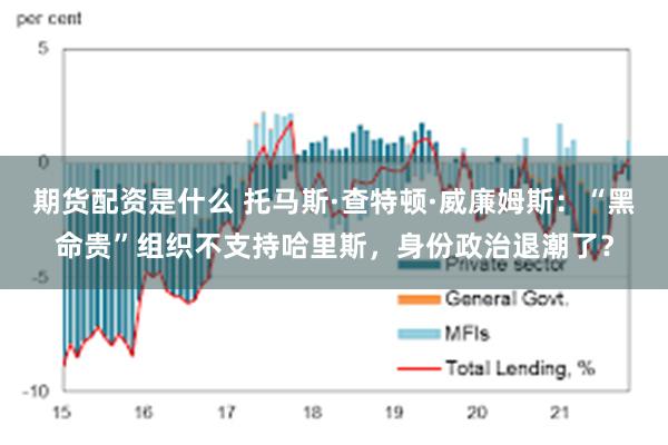 期货配资是什么 托马斯·查特顿·威廉姆斯：“黑命贵”组织不支持哈里斯，身份政治退潮了？