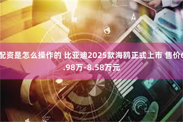 配资是怎么操作的 比亚迪2025款海鸥正式上市 售价6.98万-8.58万元