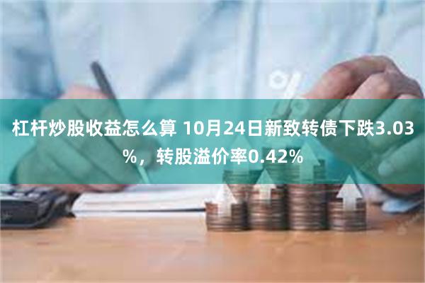 杠杆炒股收益怎么算 10月24日新致转债下跌3.03%，转股溢价率0.42%