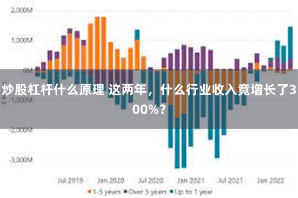 炒股杠杆什么原理 这两年，什么行业收入竟增长了300%？