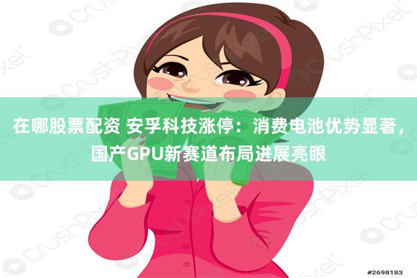 在哪股票配资 安孚科技涨停：消费电池优势显著，国产GPU新赛道布局进展亮眼