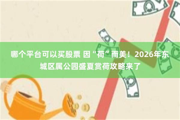 哪个平台可以买股票 因“荷”而美！2026年东城区属公园盛夏赏荷攻略来了
