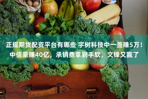 正规期货配资平台有哪些 宇树科技中一签赚5万！中信豪赚40亿，承销费拿到手软，文锋又赢了